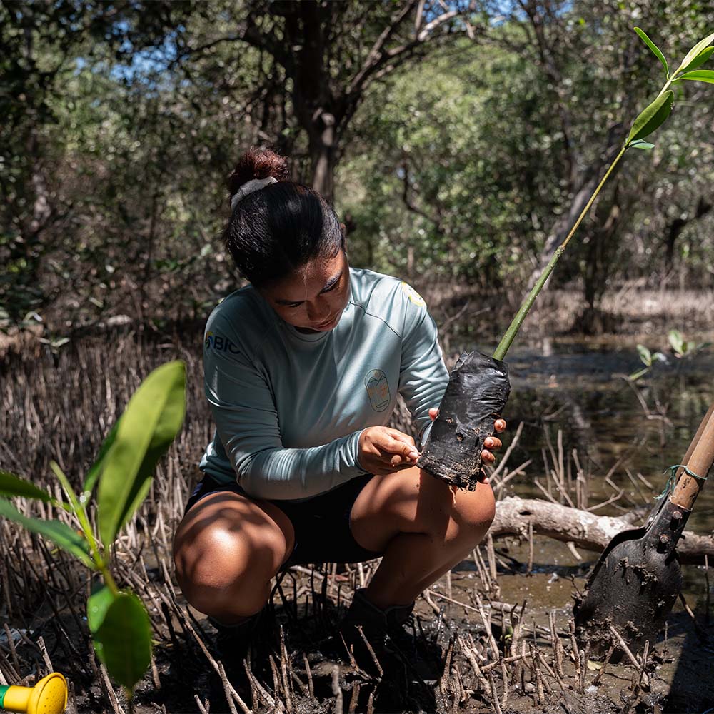 Remar para limpiar, reciclar para vivir: el proyecto de turismo y diseño en la ciénaga grande