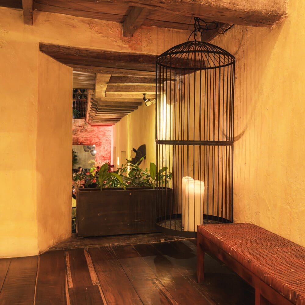Niku y máximo: dos restaurantes que le ponen un toque moderno al centro de cartagena