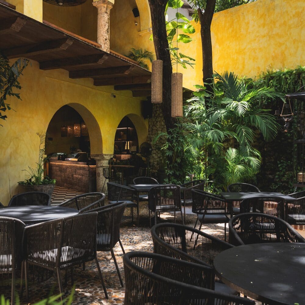 Niku y máximo: dos restaurantes que le ponen un toque moderno al centro de cartagena